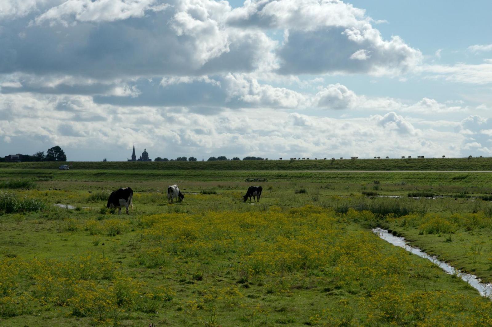B&B Posthoorn Hoorn  Bagian luar foto